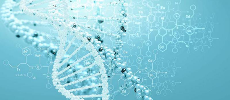 关于开展2019年第一批技术先进型服务企业认定工作的通知